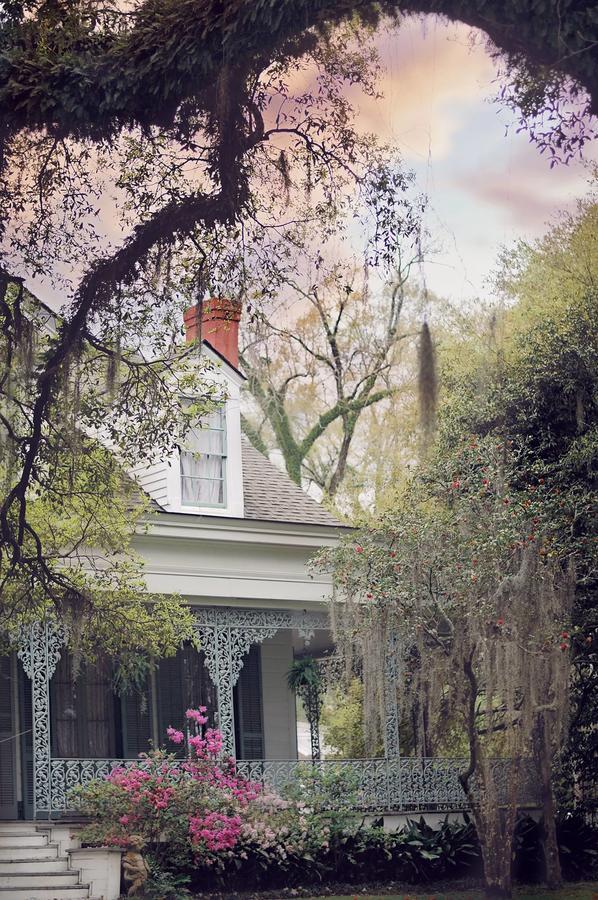 The Myrtles Bed & Breakfast Saint Francisville Eksteriør bilde